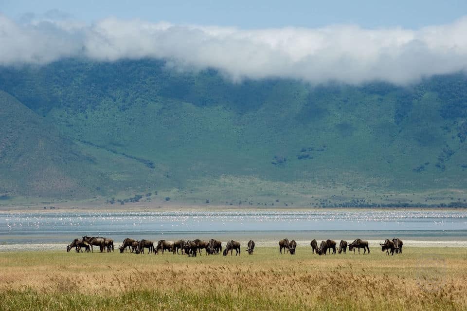 Ngorongoro Conservation Area