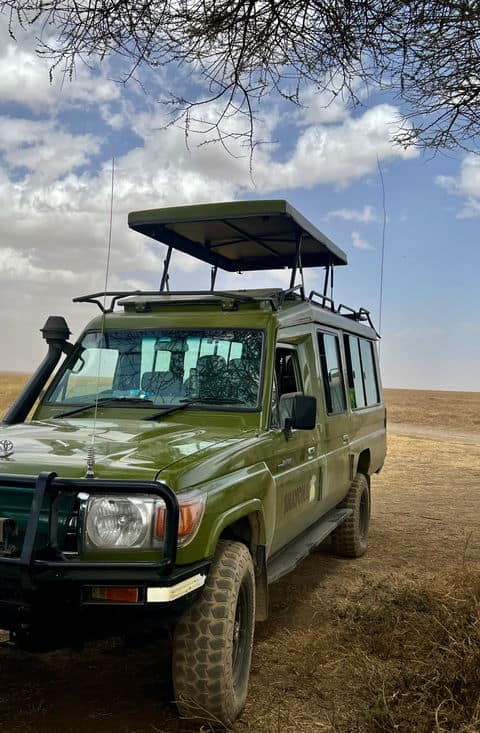 Expert guides, custom-built 4×4 Landcruisers